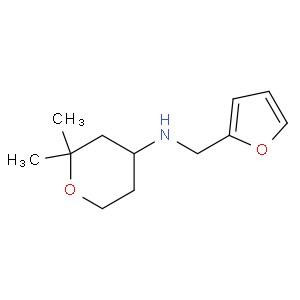 (2,2-dimethyl-tetrahydro-pyran-4-yl)-furan-2-ylmethyl-amine