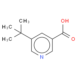 5-tert-butylnicotinic acid